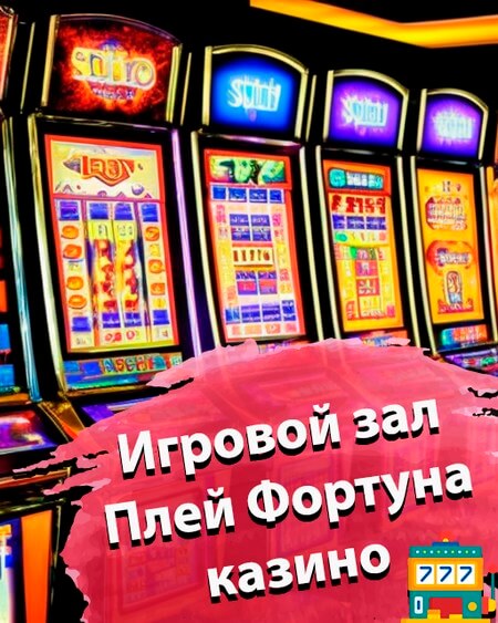 Игровой зал Плей Фортуна казино